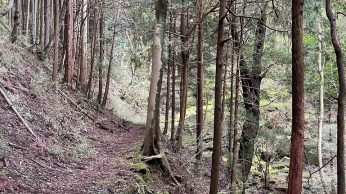 小田原の秘境 かもしれない和留沢
