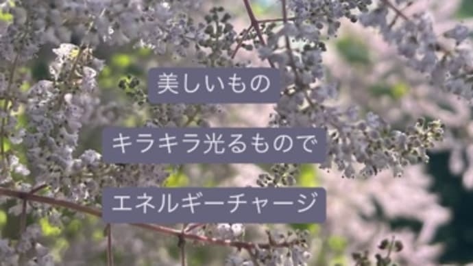 〜マヤ暦 K 248 黄色い星・黄色い星・音1〜 「青い鷲」の力を使う「黄色い戦」