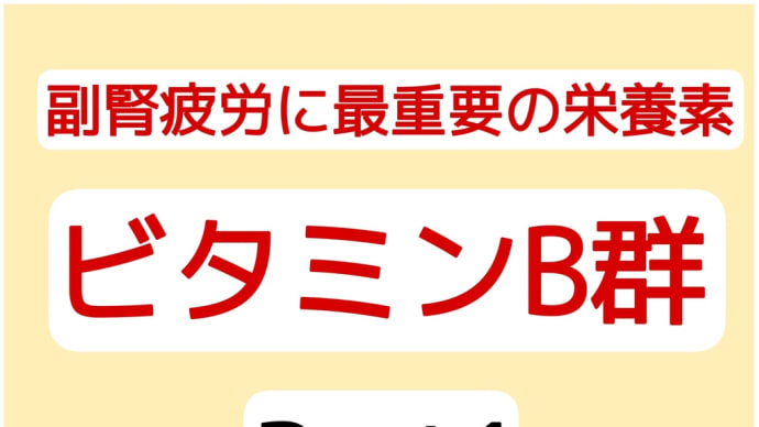 副腎疲労 ビタミンB1