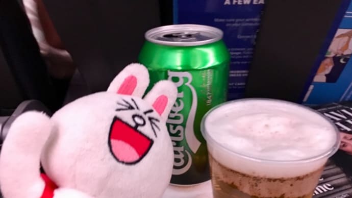 1年ぶりのSAS機の旅〜機内食編