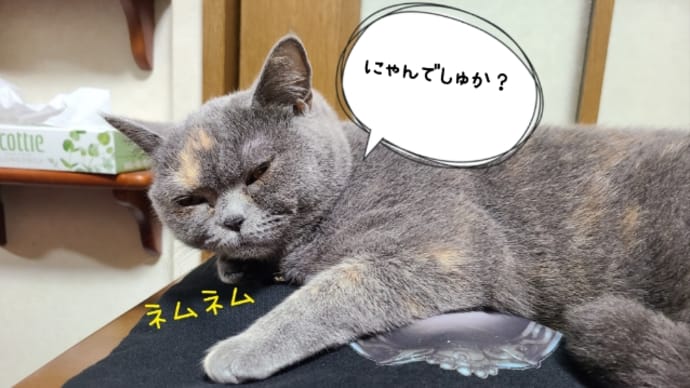 ういちゃん11ヶ月💕