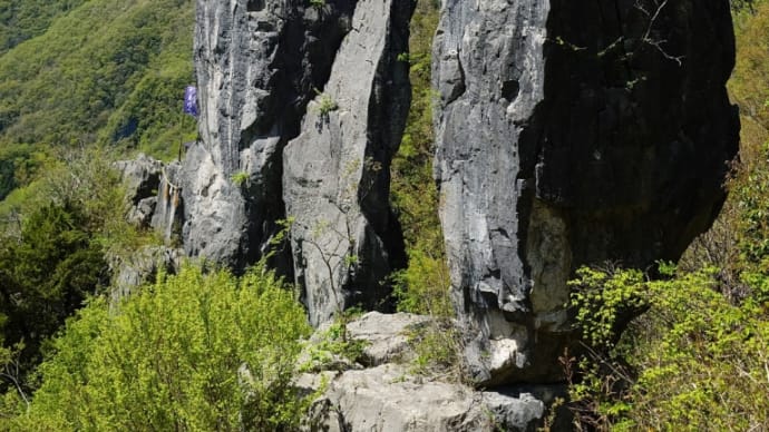 芽吹きと新緑で匂い立つ山道を走る!!