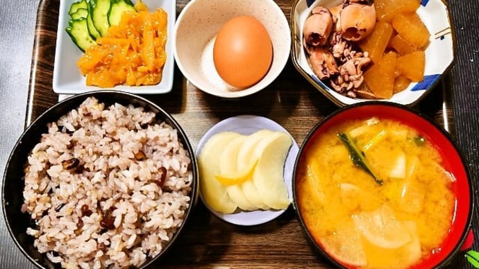家で朝ごはん(十六穀ごはんに剣先イカと大根の煮物、生卵、中華クラゲ、カブのみそ汁、ゆず大根)(2024年6月5日)
