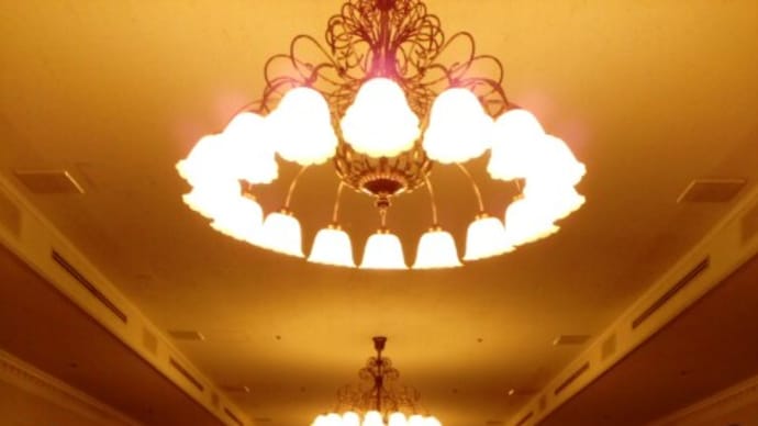 2022-07-05 Photo