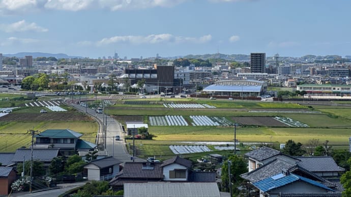 まともに生きて、ヒィヒイボーン。