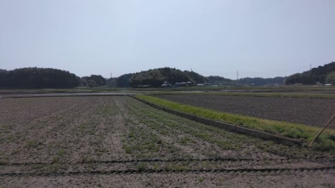 ひとり旅 2024 中日