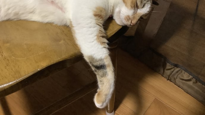 箱に入ったピアニカの理由
