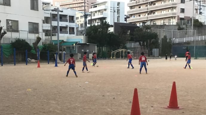泊サッカークラブ:11月1日