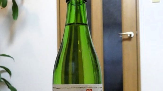 #9190 かまくらしおり🍶