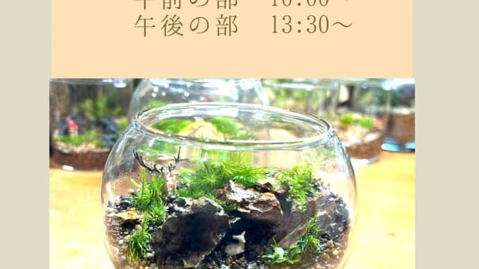 〈苔テラリウム講習会〉のご案内