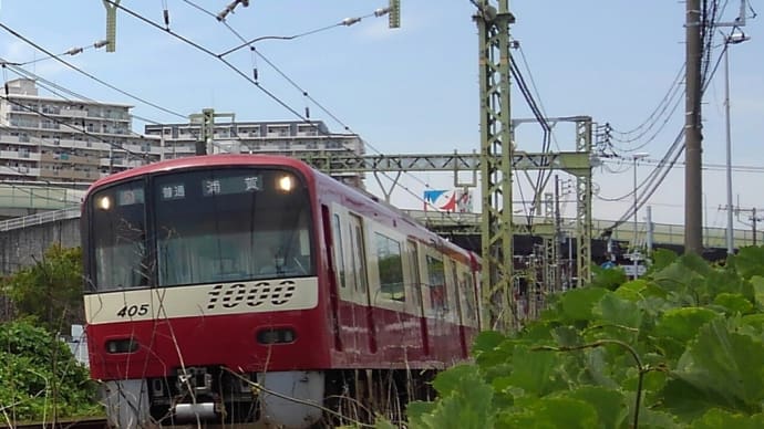 momokaの鉄道写真館vol.2