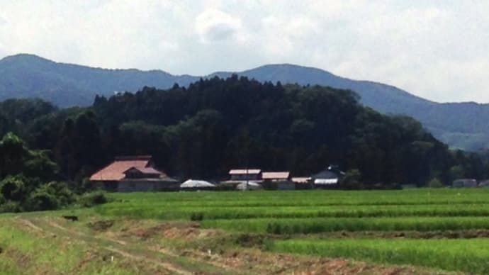 麓城( 麓館・吉田城 )跡 | 城主不明 ( 黒川氏家臣 : 入生田氏? )の居城