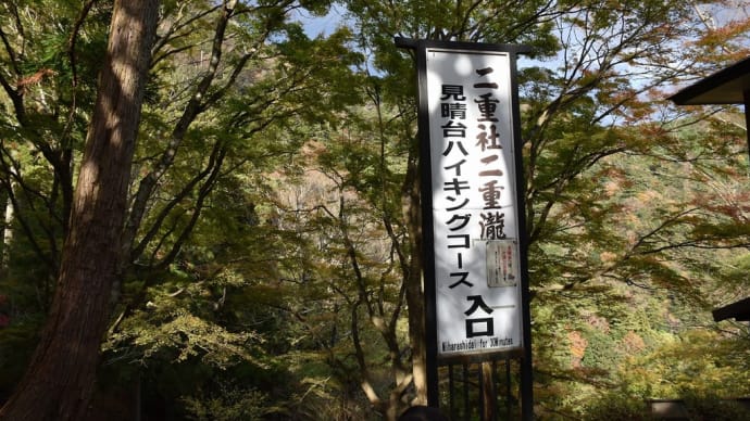 もみじ狩り 神奈川県伊勢原市 大山見晴台ハイキングコース(1)