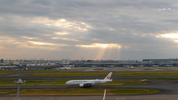 祝!15周年 By空俱楽部
