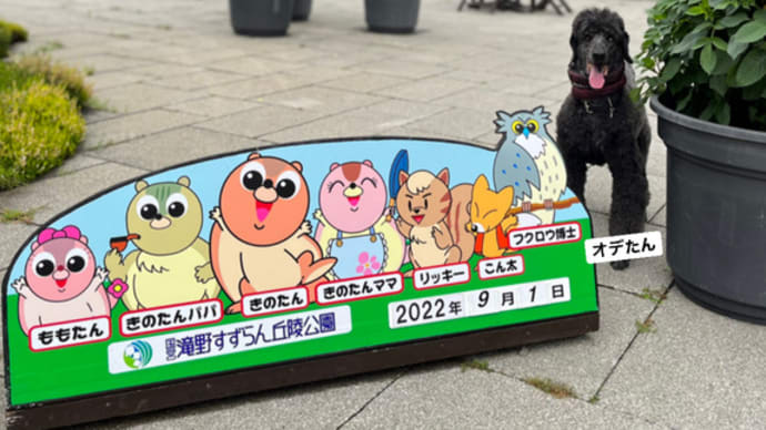 久しぶりの滝野すずらん丘陵公園