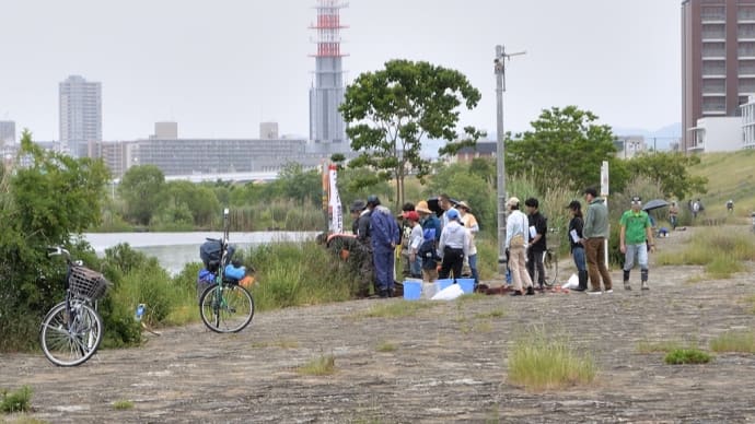 イタセンネット城北定例保全活動4