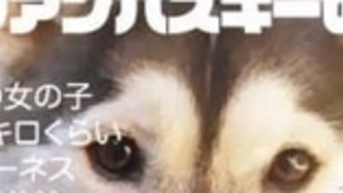 早くお家に帰ってほしい