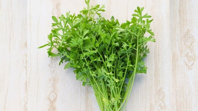 <珍しい野菜> コントルノ