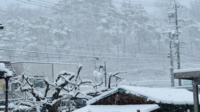 大雪で切ない🥹