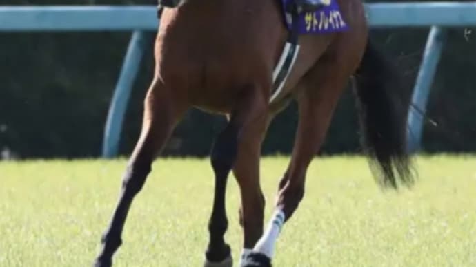 サトノレイナスが、日本ダービーを勝つ確率。