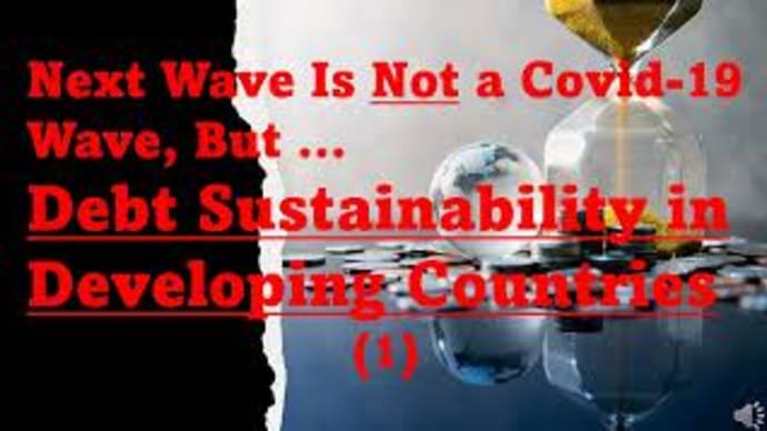 The Next Wave Is Not a Covid-19 Wave: Debt Sustainability in Developing Countries (Part 1)