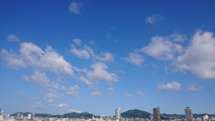 6月8日(水) 出社日・平穏な日
