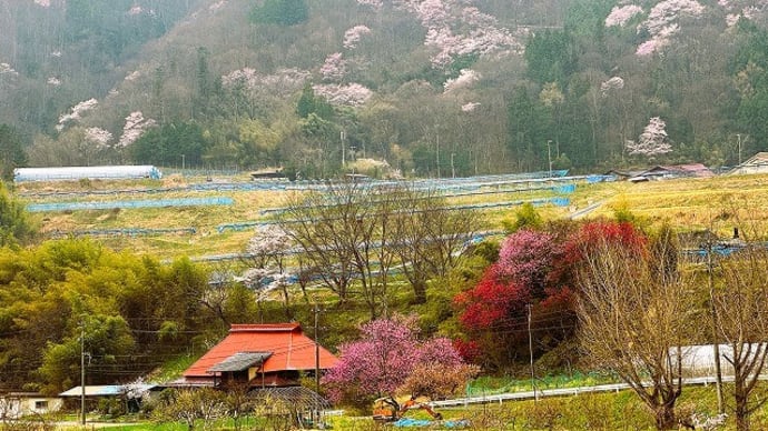 犀川対岸からの大日向の風景