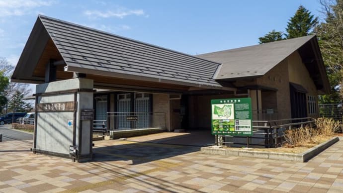 ジャンク富岡レンズを持って野草園へ。。