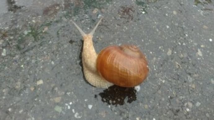 習慣は怖い