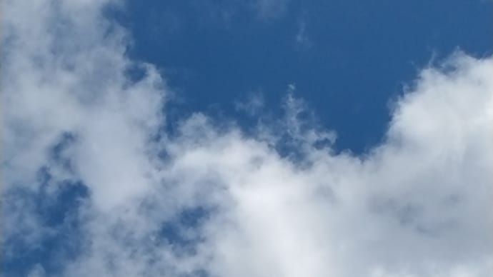 晴れの土曜日