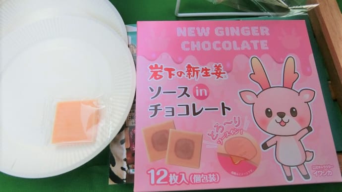 岩下の新生姜ソースinチョコレートの謎フード判定をお願いします