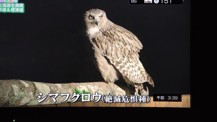 サンズ・トークについて