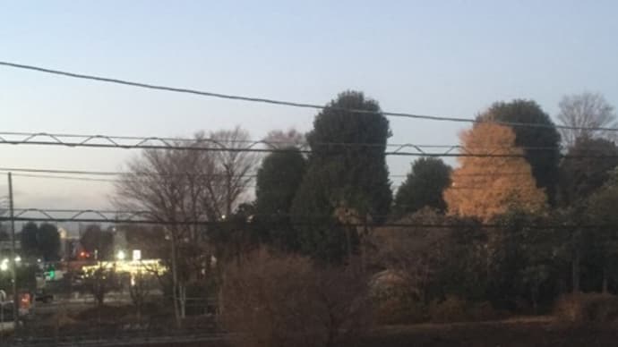 「ひとり稽古」