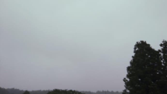 ヤブカンゾウの空