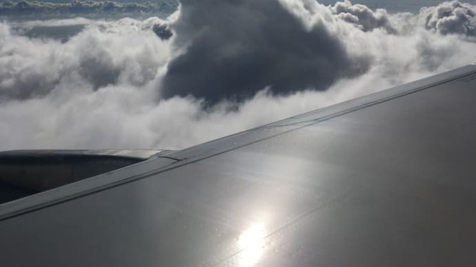 カリブ海USヴァージン諸島の思い出