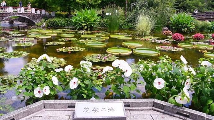 草津市立 水生植物公園みずの森 ２