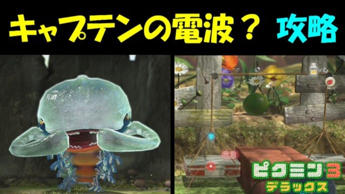 Gooブログ Goo Blog ハッシュタグ 再会の花園