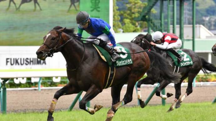 【クレッシェンドラヴ】登録抹消、将来はJRA馬事公苑で乗馬に!