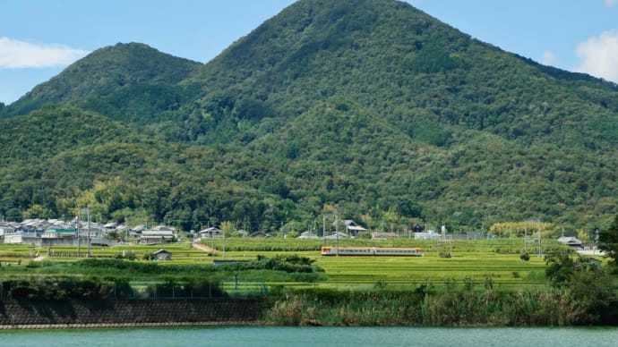私がテレビ出演❗️