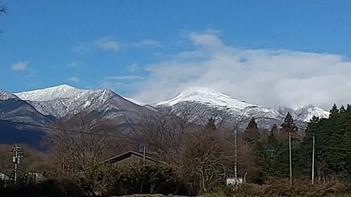 今年最後の練習でした。