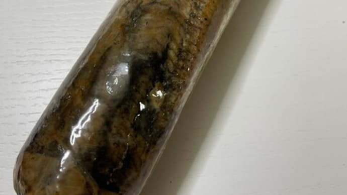 穴子棒寿司