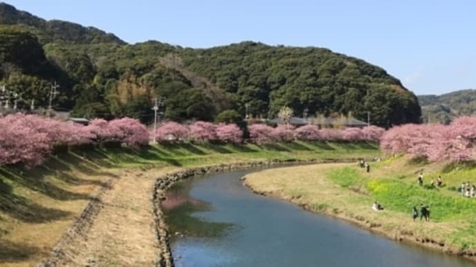 奇蹟ライブラリー〜百般〜