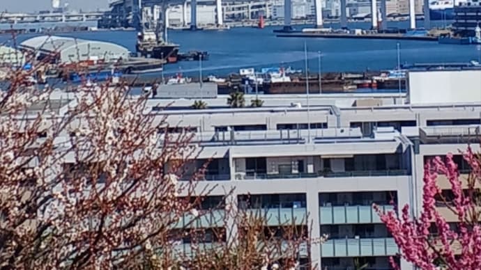 横浜散策