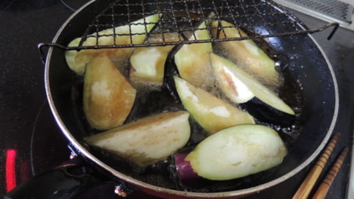 3連休最終日に熱を出したサクぼん!!