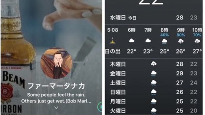 ずぶ濡れ