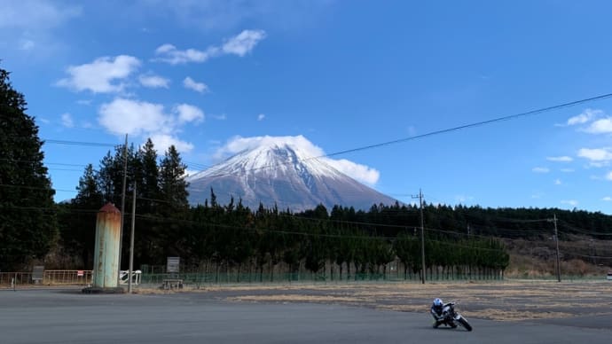 シェイクダウン