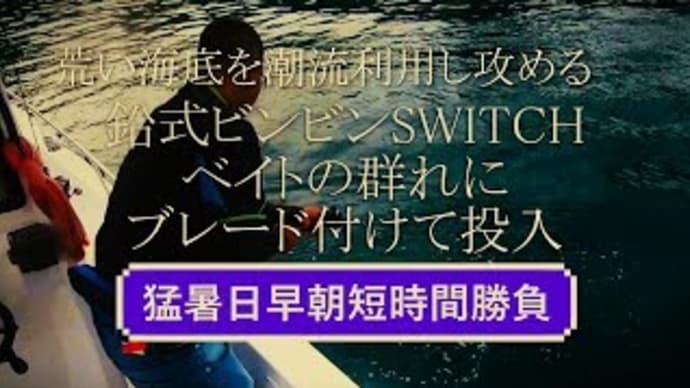 鉛式ビンビンスイッチにブレード付けると効果アリ👀早朝短時間勝負！