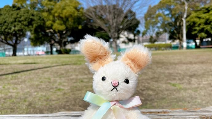 うさぎのハルちゃんご予約募集中