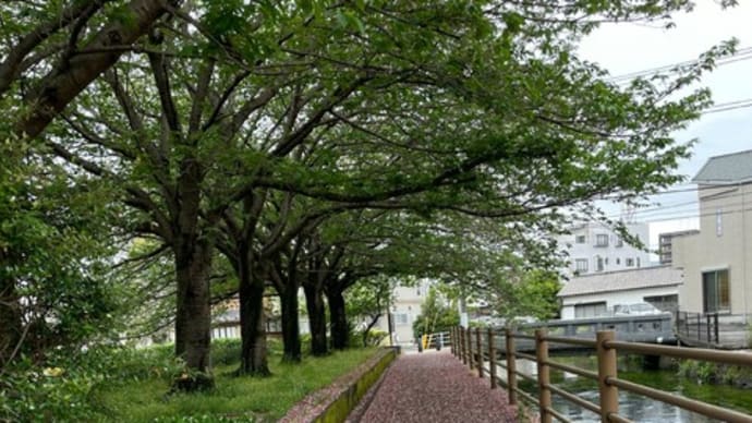 久しぶりに猫成分を補給できた