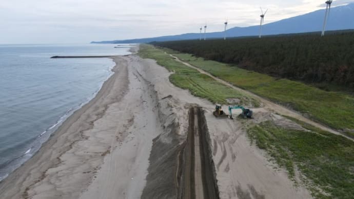 海岸の砂丘をようやく修復か